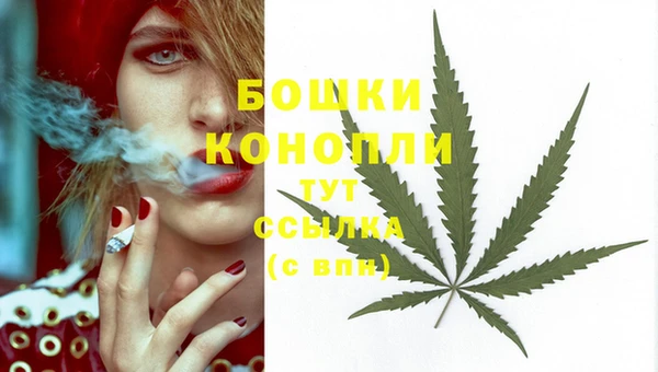 PSILOCYBIN Абаза