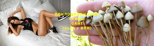 a pvp Абдулино