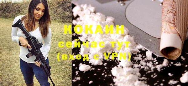 PSILOCYBIN Абаза