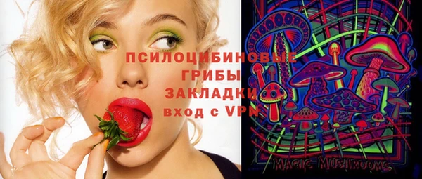 PSILOCYBIN Абаза