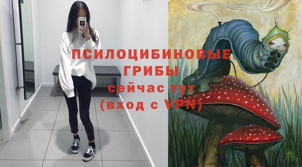 таблы Алексеевка
