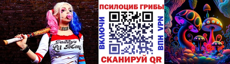 блэк спрут зеркало  Новоуральск  Псилоцибиновые грибы Psilocybine cubensis 